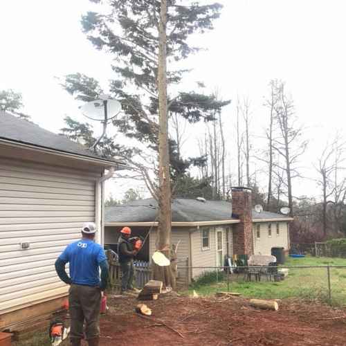 Ortiz Tree Service Lands Clearing