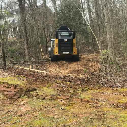 Ortiz Tree Service Lands Clearing