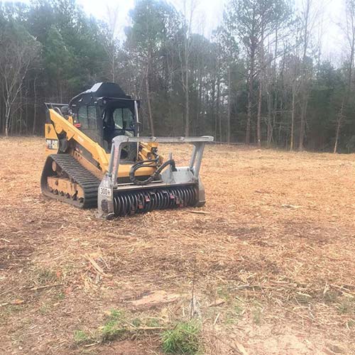 Land Clearing